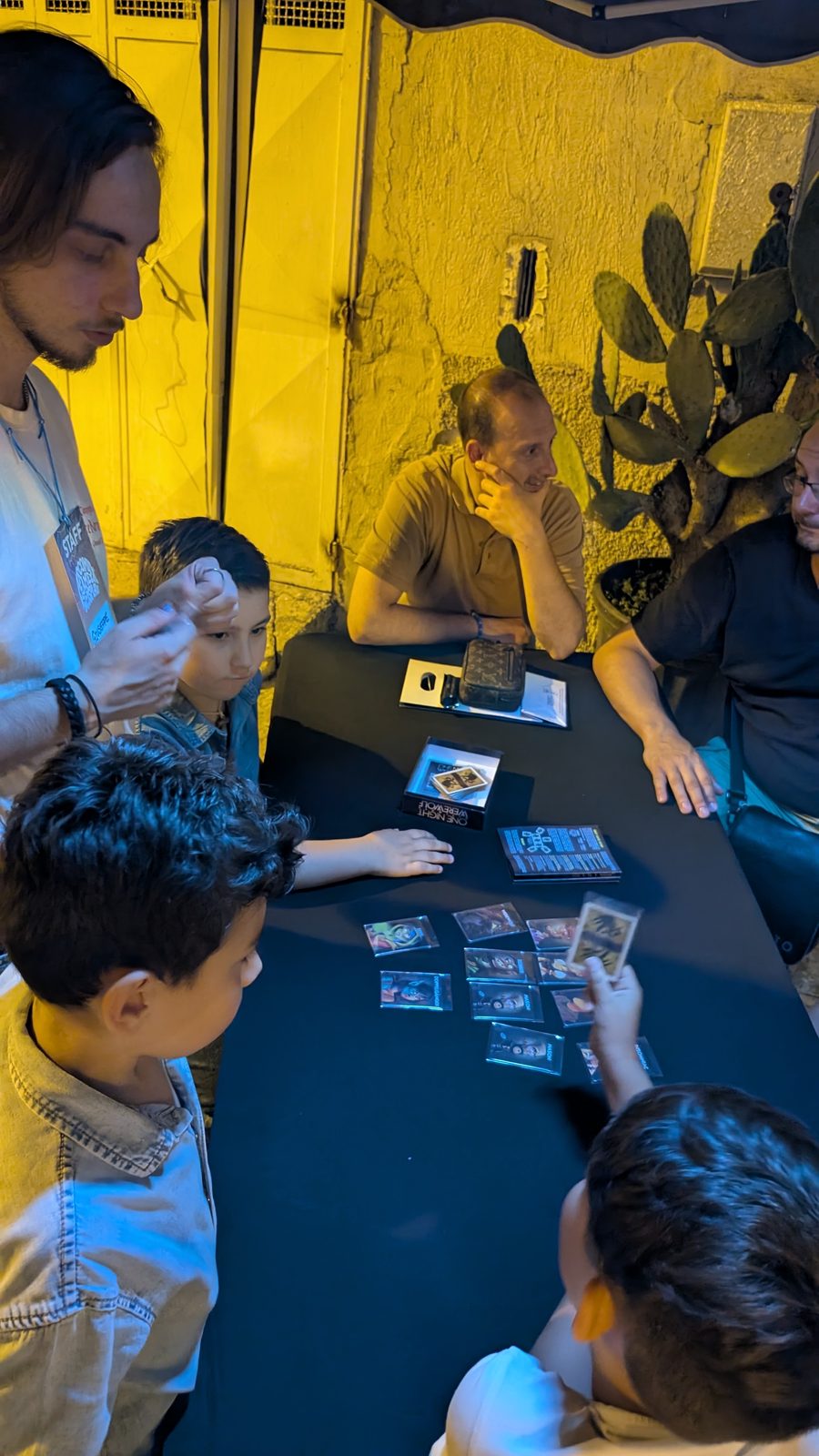 Festival — foto 4